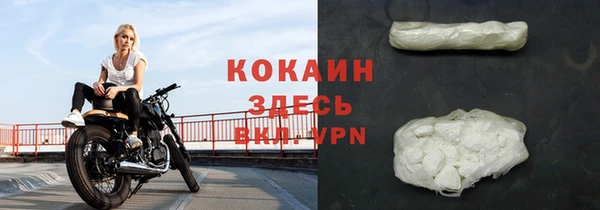 ГАЛЛЮЦИНОГЕННЫЕ ГРИБЫ Абаза