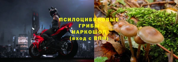 прущие крисы Абинск