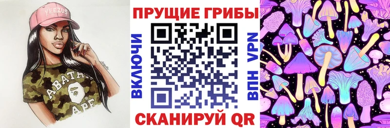 Псилоцибиновые грибы GOLDEN TEACHER  Миллерово 